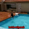 jeannysousa61