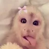 eemiiy5