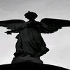 loney_ezz1337
