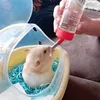 pucky.the.hamster