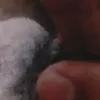 yarkelincay