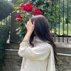 aelaf736