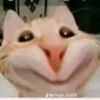 m..hamed346999