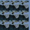 nasra.dagan58