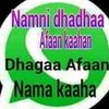 shamsadin.mieso
