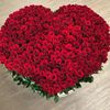 amelia__bohannon03