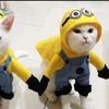 cat__lover46