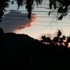 sare_herrera03