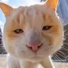 emhocuachilltom