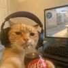 pollo_fr6