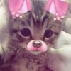 _6.iza.6_