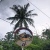 icikiwirr_172