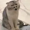 memaybeo11111222