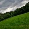 farh_2027
