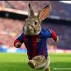 fernando.caal872