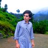 rauf_shahi2