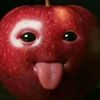 foods329