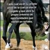 chavoruco568