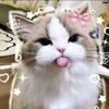 alya_all55