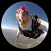 chorarstumble
