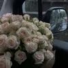 hatraf_22