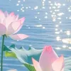 m.h.qung3