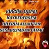 gnl.yorgunu507