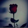 lina.ap6