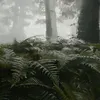 zachtomneban