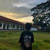 lany.m17
