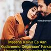 mssfatush011