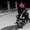 boypho_hoalu