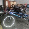 _rapa_8