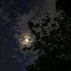 rachana_054