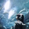 chen_kairen_nam