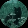secret.spam1123456
