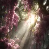 lena.s.belzer.animefreak