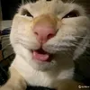 khanh_gdvn