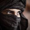 tarek.ali5586