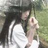 farida53911