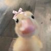 privjessb228