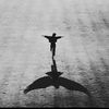 mufly312