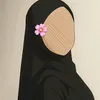 user34zm_z