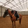 eq_343