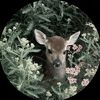 monawww.tiktok.com7