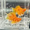 cuong.nguyen8838