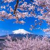 japan_574