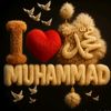 m.s.t.habiba.akter