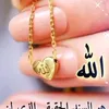 lahan_12