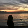ash_3518